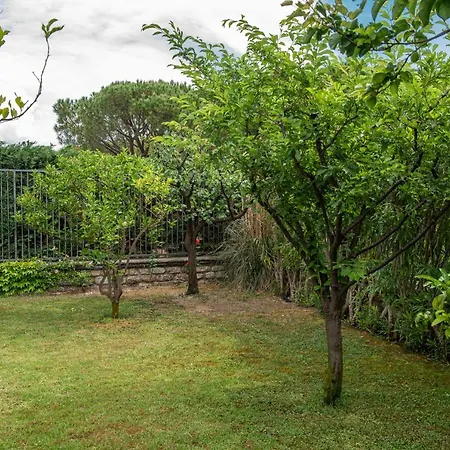 Magnificent * 산레모