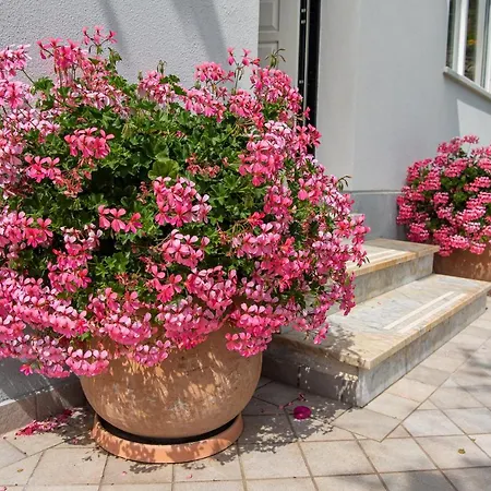 빌라 Magnificent 산레모