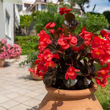 Magnificent 빌라 *