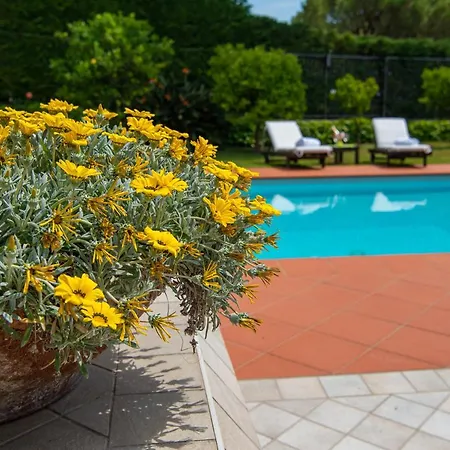 빌라 Magnificent 산레모