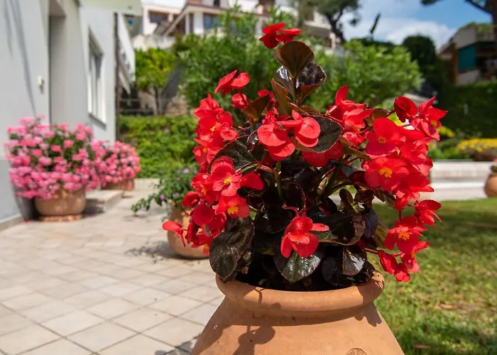 Magnificent 别墅 *