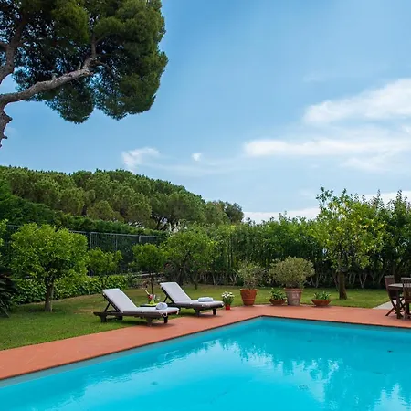 Magnificent * サンレモ